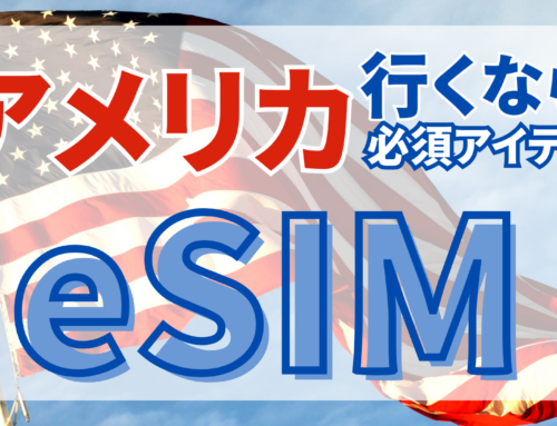 アメリカ旅行の必須アイテム！オンライン完結型のSIMが新発売！【アメリカ用eSIM】