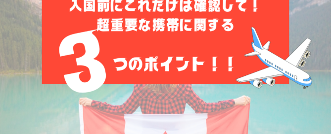 入国前