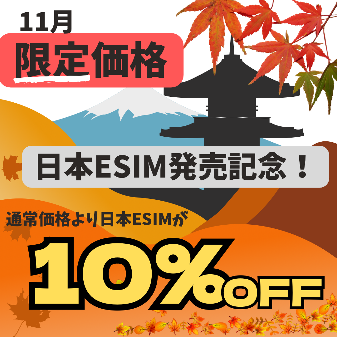 日本SIM限定価格