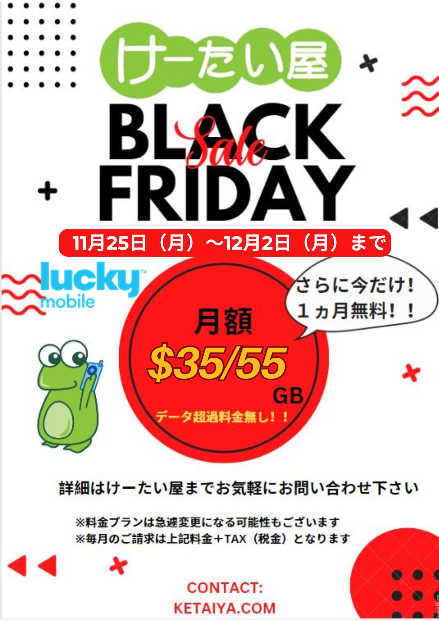 Black Friday Offer (3) ブラックフライデーセール