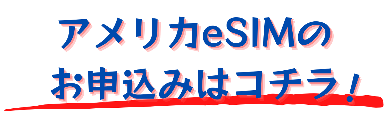 誰でも簡単！SIM カードの使い方