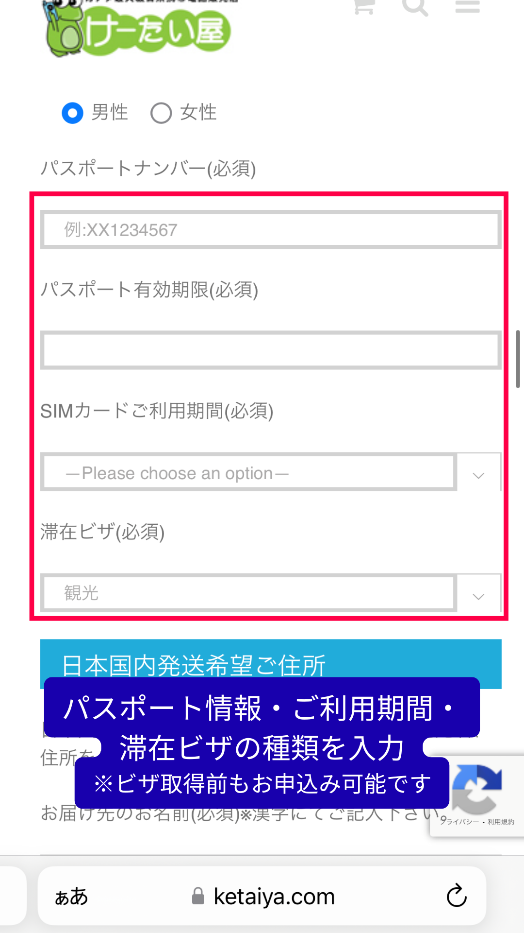 enter your passport information