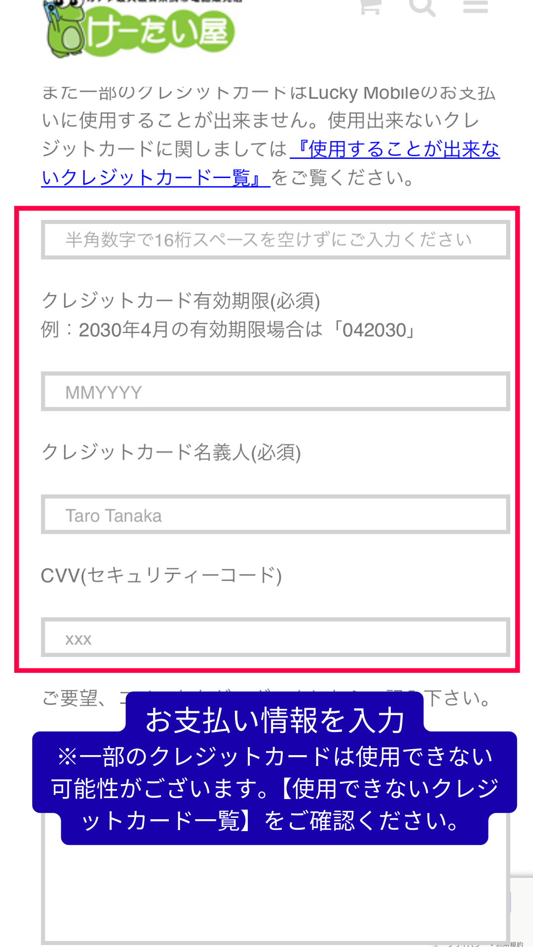 enter your payment information
