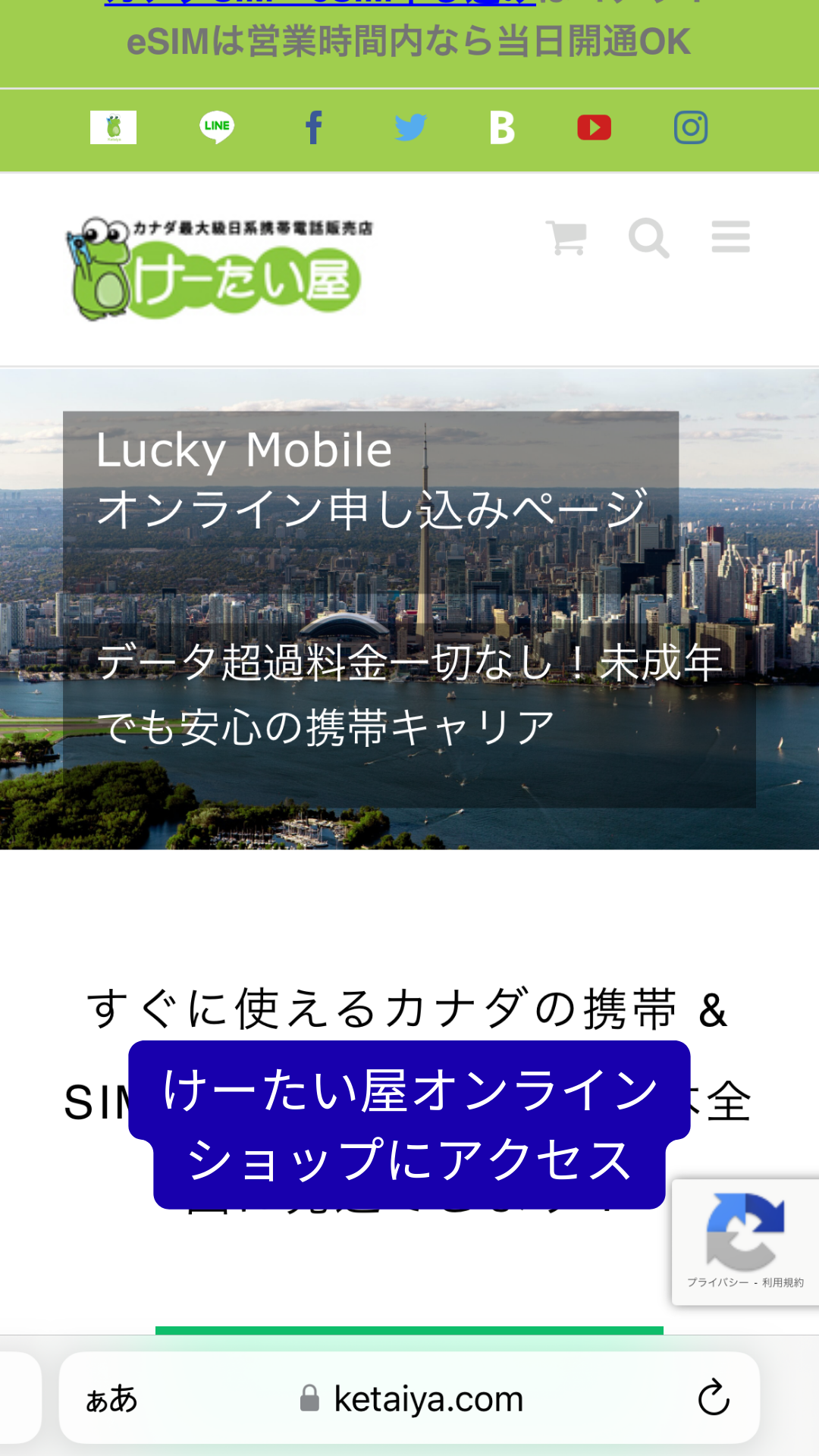 access to the ketaiya online store