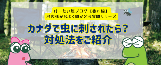 blog slider