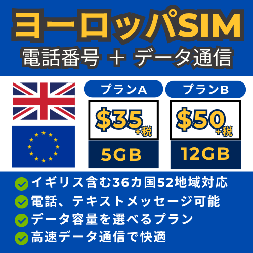Euro SIM card